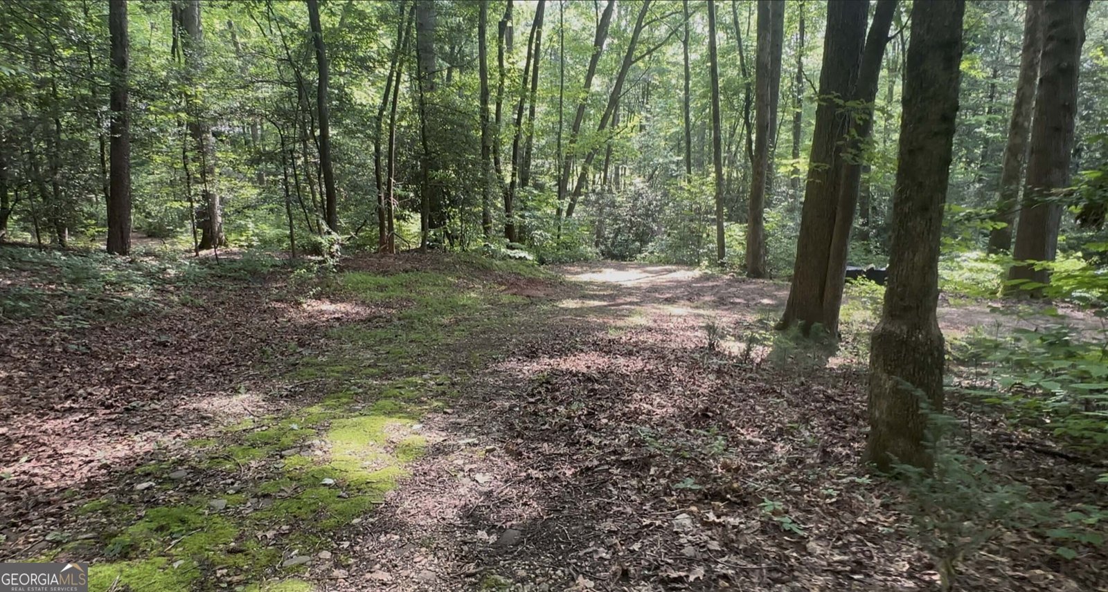 1315 Chimney Mountain Flats Trail Clarkesville - 14