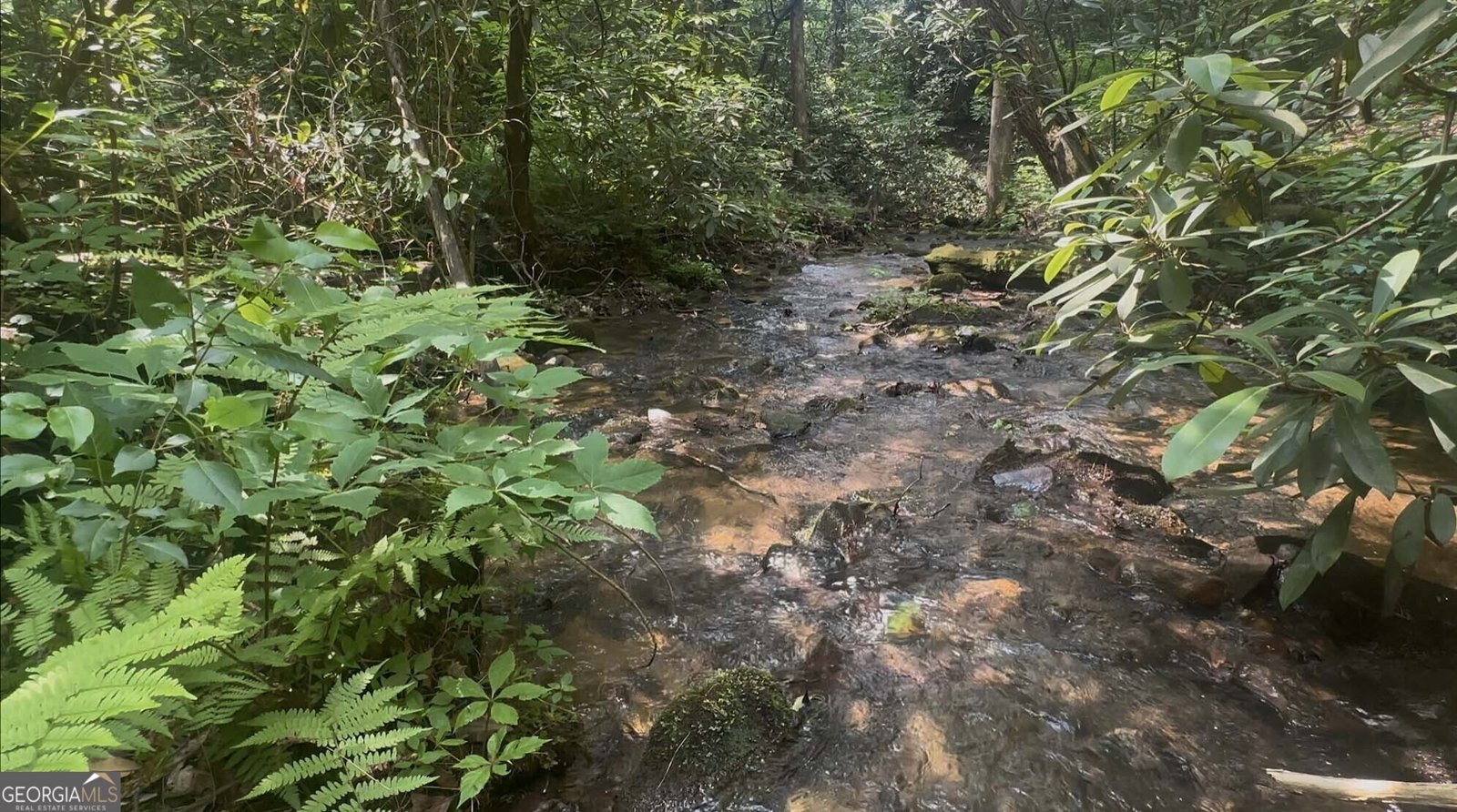 1315 Chimney Mountain Flats Trail Clarkesville - 15