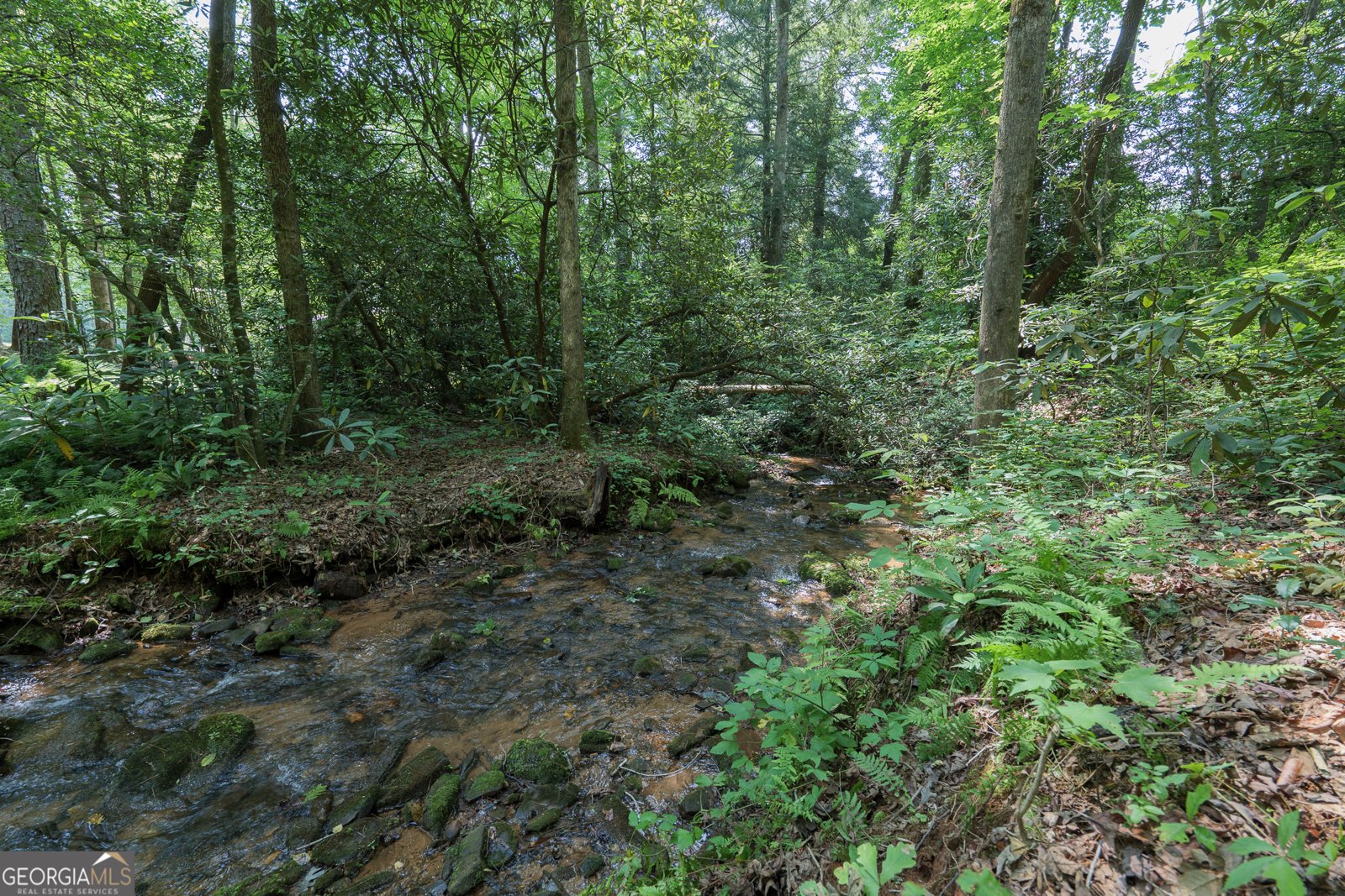 1315 Chimney Mountain Flats Trail Clarkesville - 16