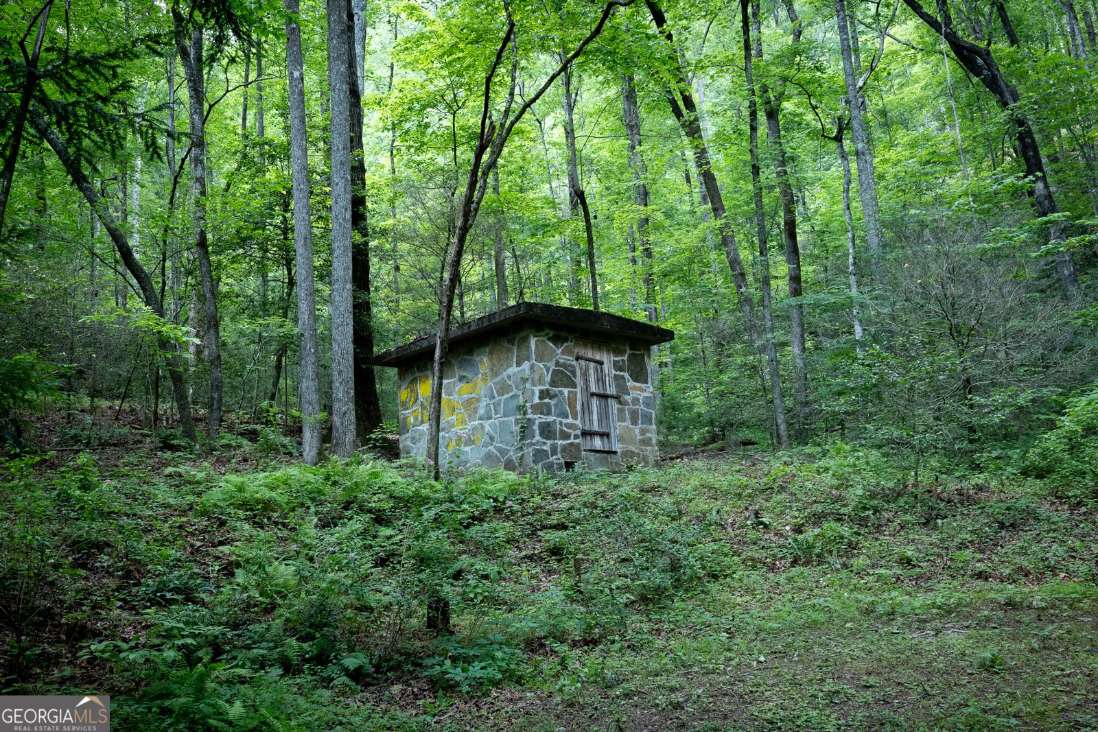 1315 Chimney Mountain Flats Trail Clarkesville - 18