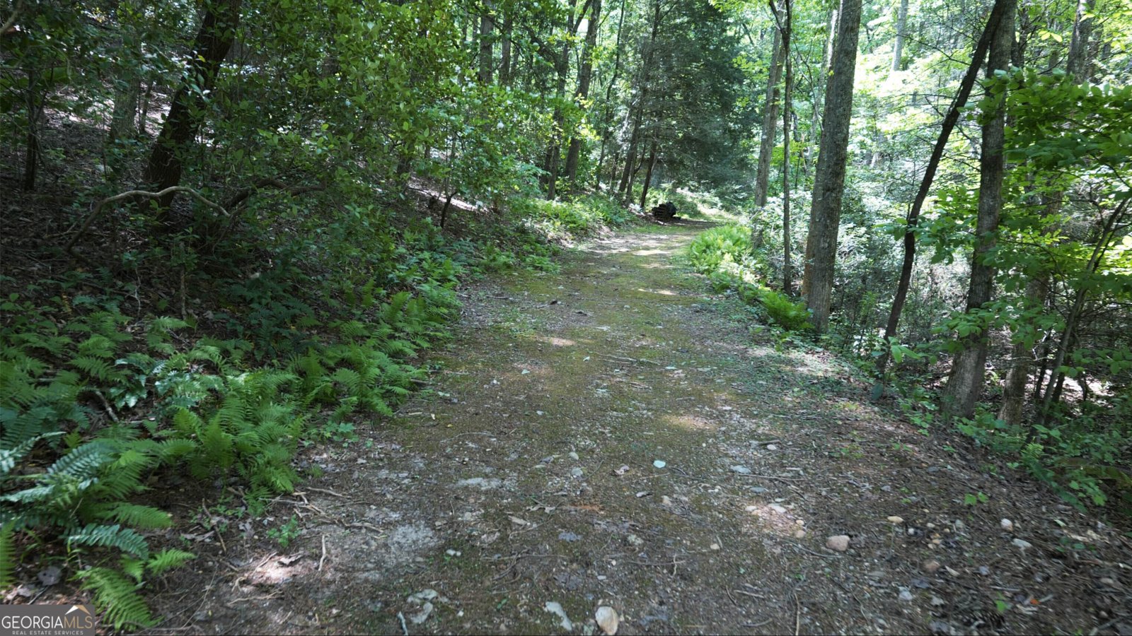 1315 Chimney Mountain Flats Trail Clarkesville - 20