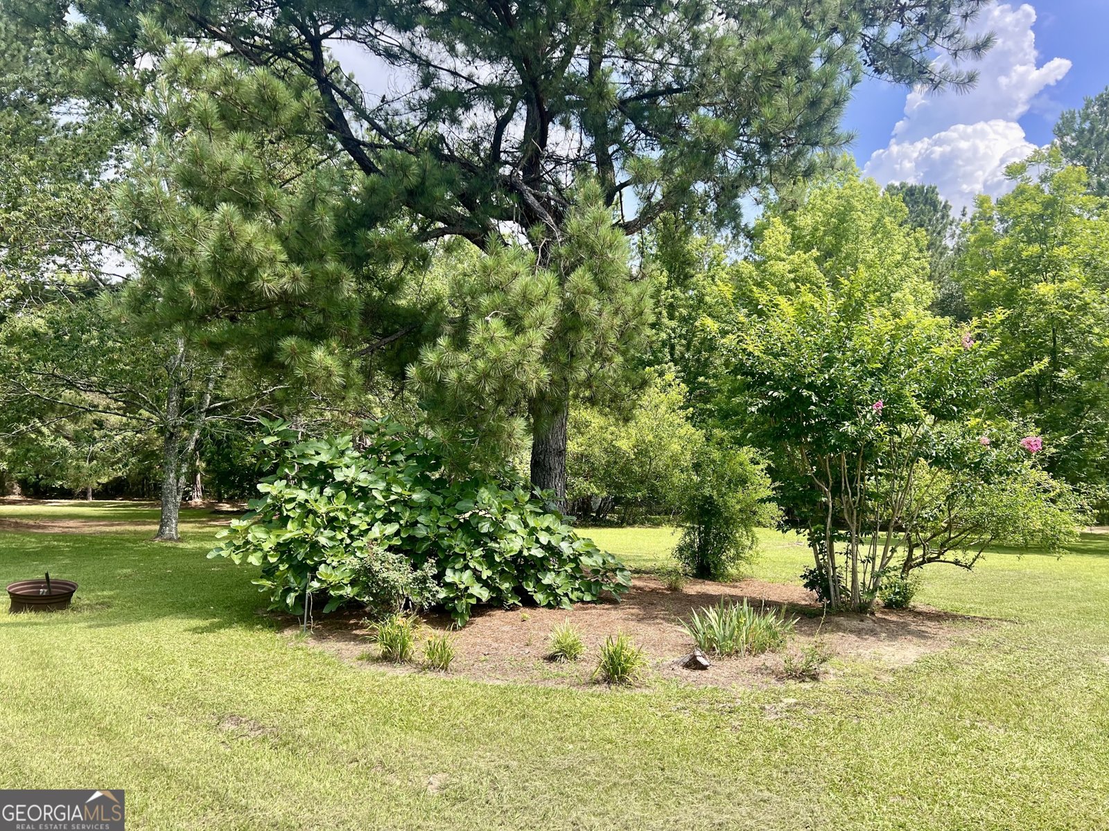 2019 Scharie Lane Rentz - 18