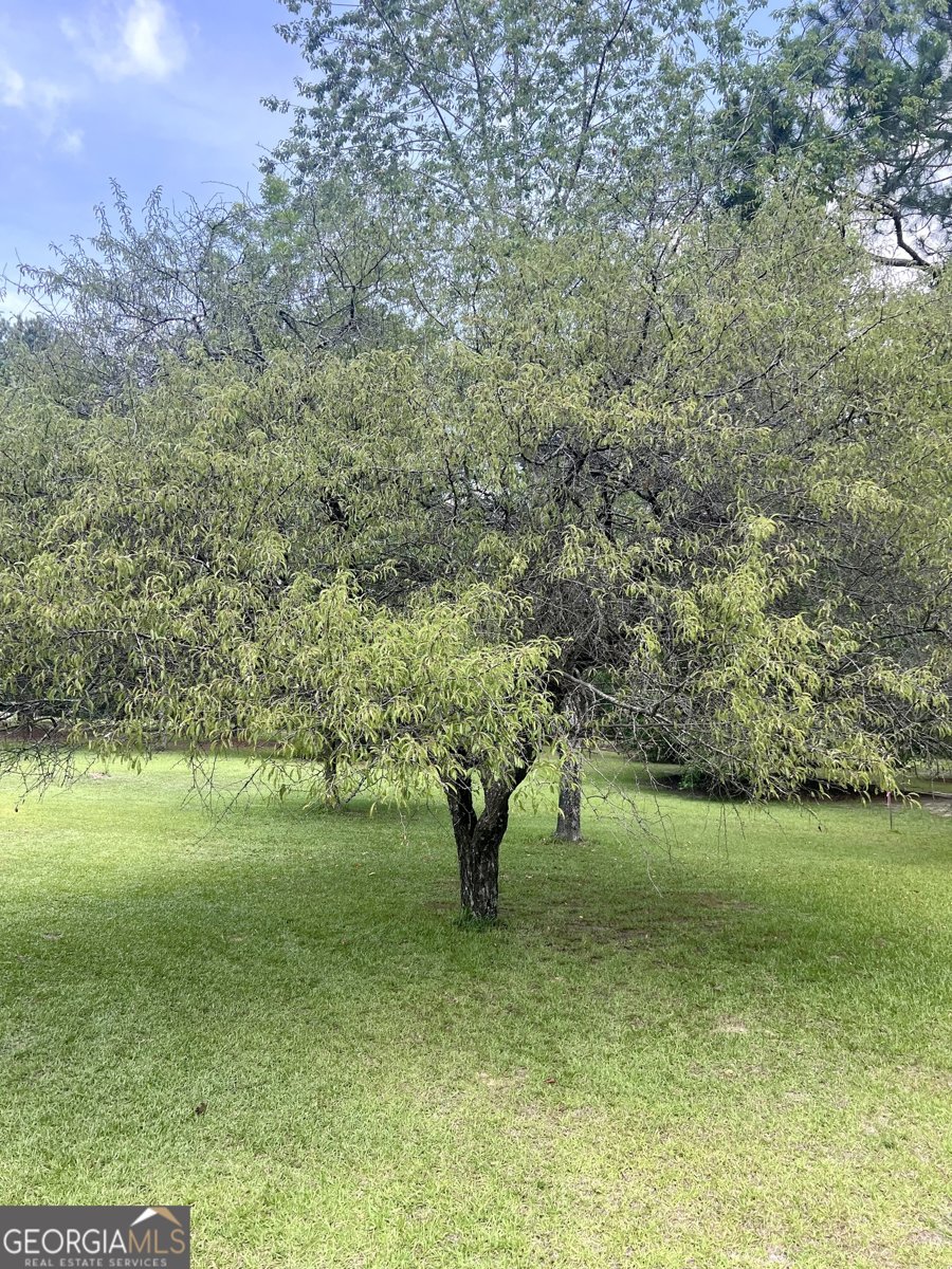 2019 Scharie Lane Rentz - 26