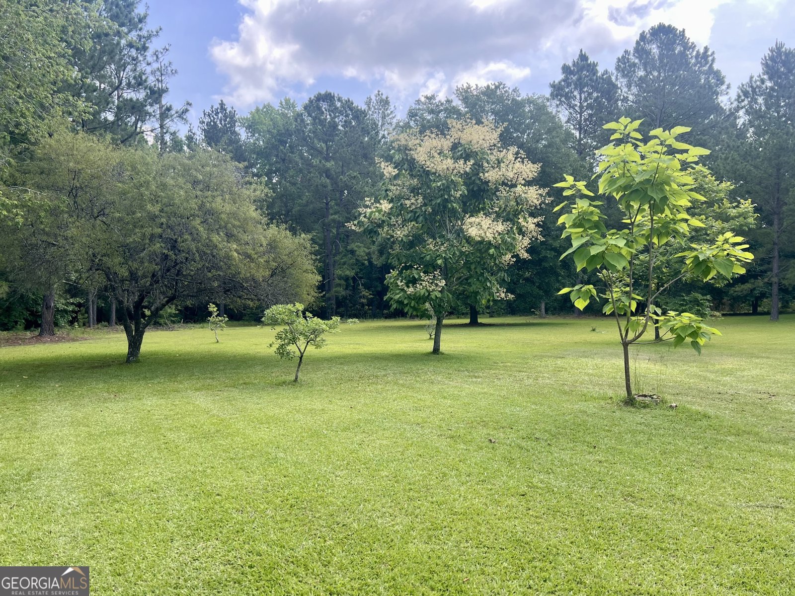 2019 Scharie Lane Rentz - 30
