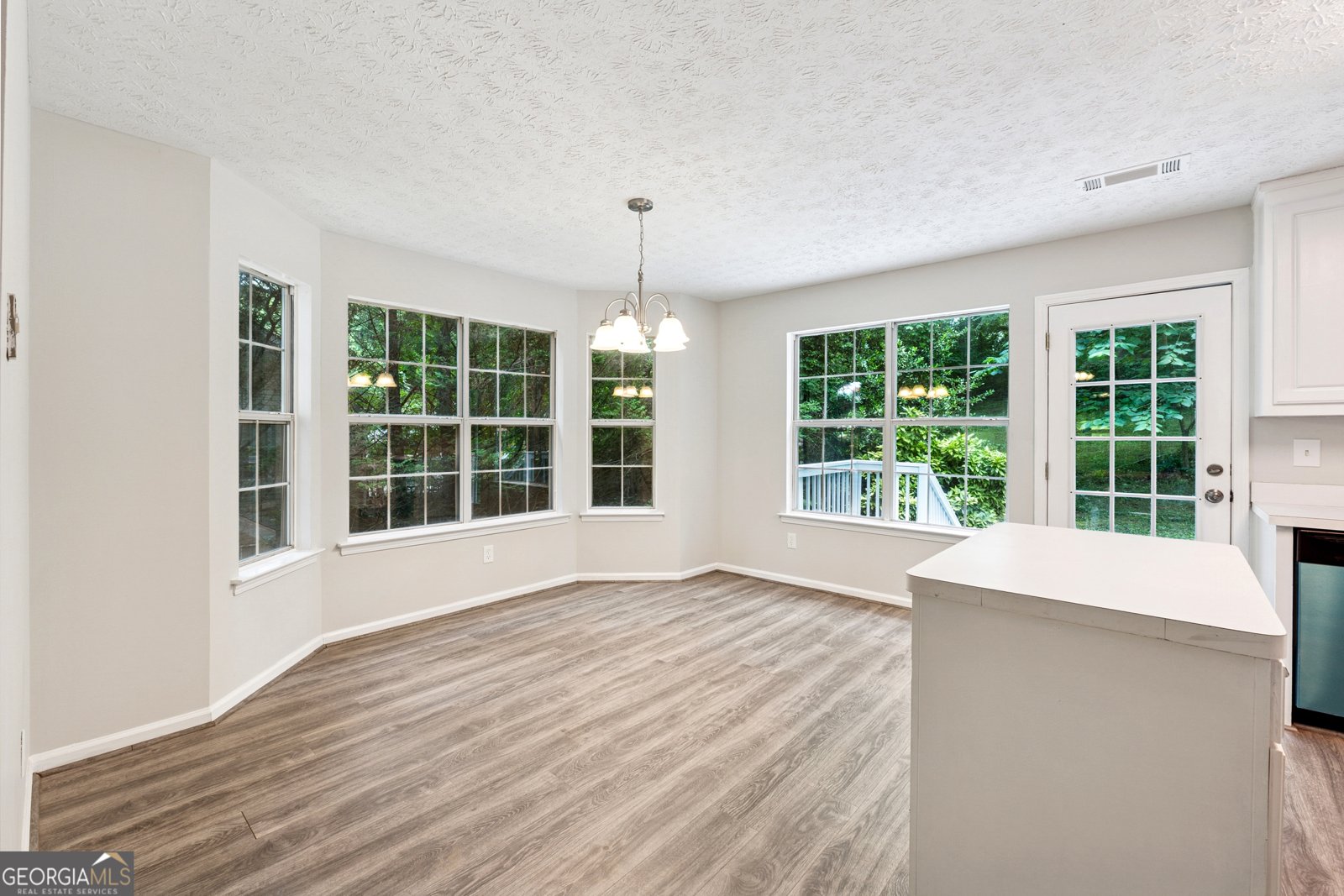 540 Alcovy Hills Drive Lawrenceville - 14
