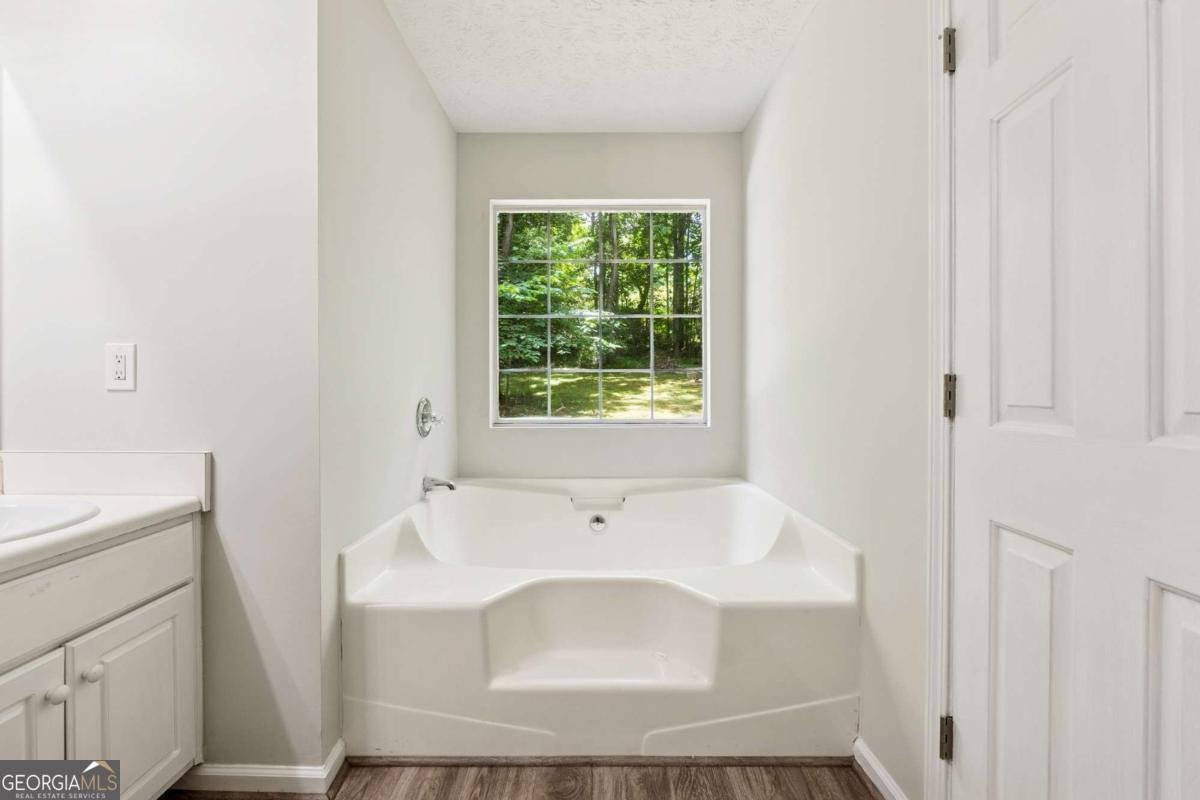 540 Alcovy Hills Drive Lawrenceville - 18