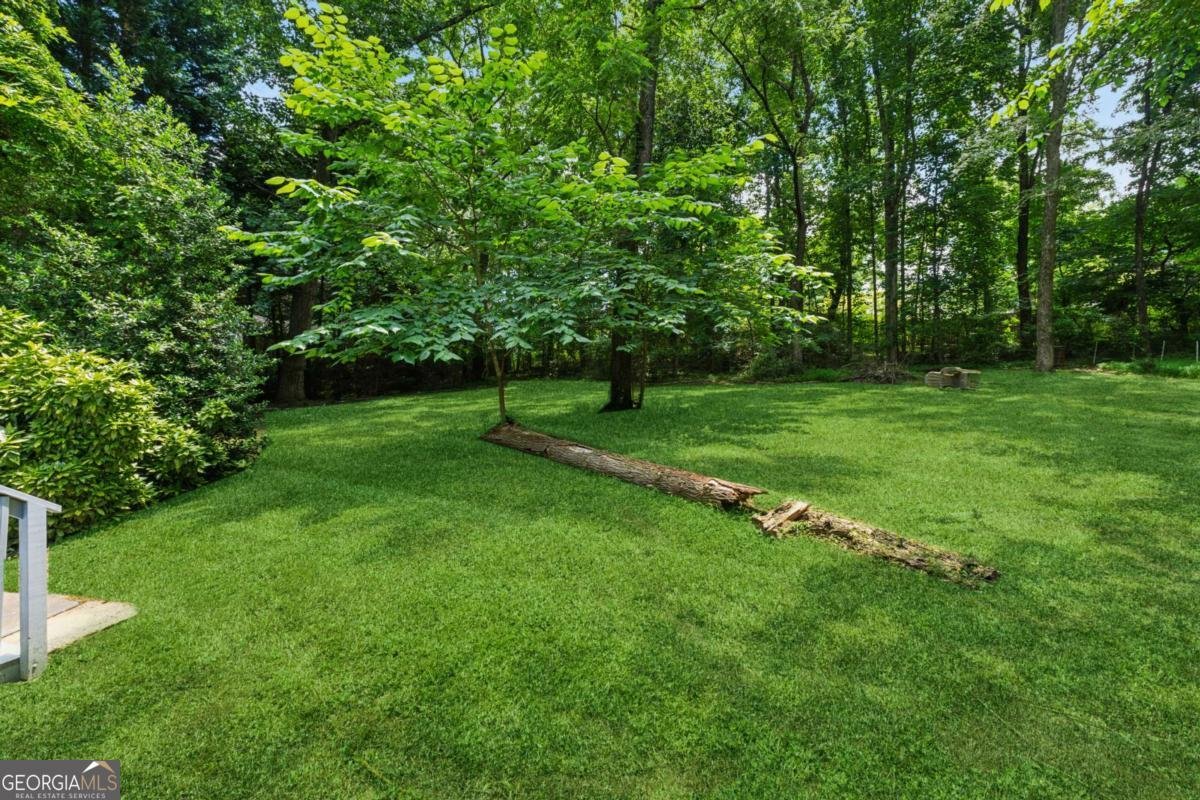 540 Alcovy Hills Drive Lawrenceville - 30