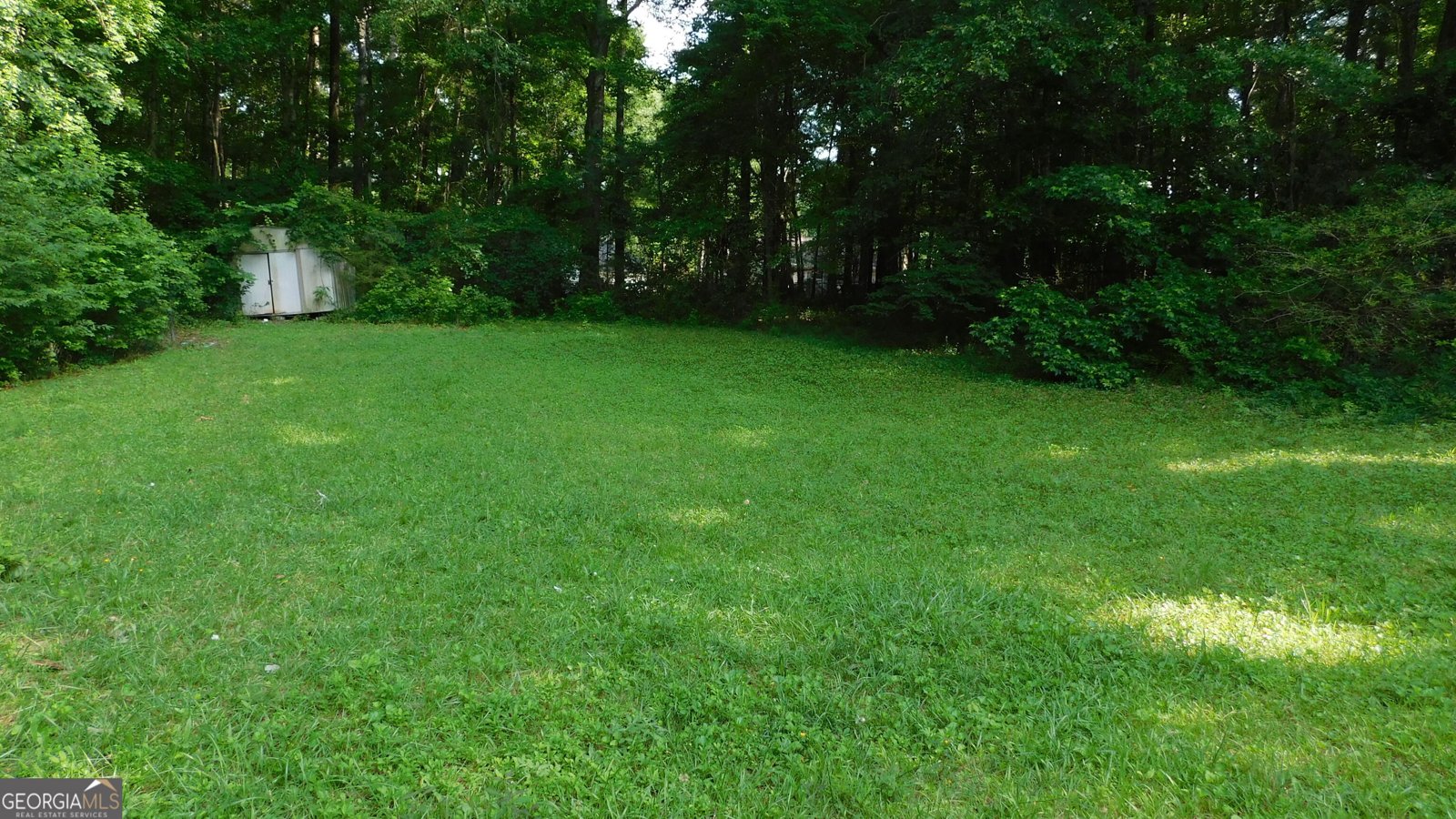 330 Christian Woods Drive Conyers - 5