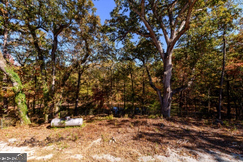 173 DEER CREEK FARM Road Hartwell - 42