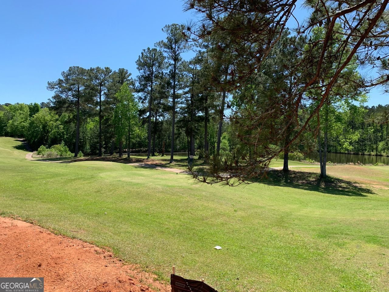 204 TRELLIS Walk Macon - 37