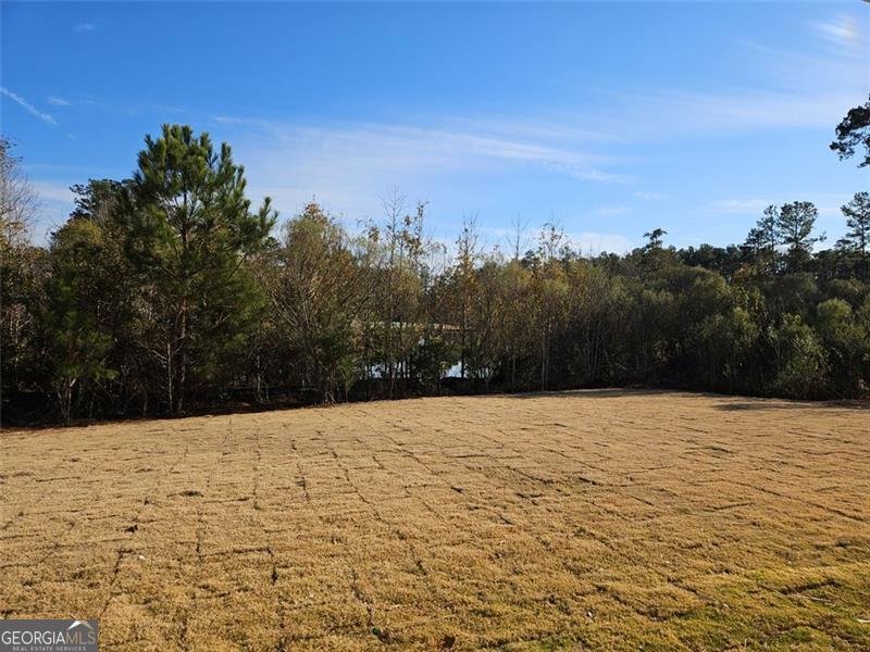228 TRELLIS Walk Macon - 3