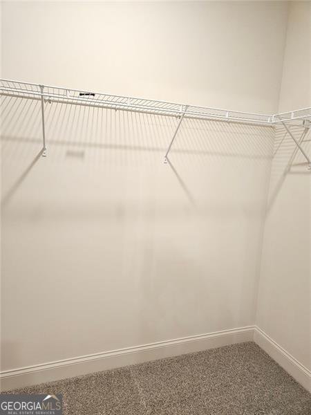 228 TRELLIS Walk Macon - 30