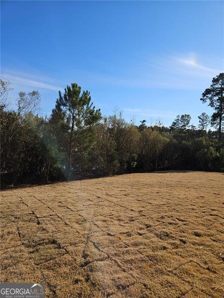 228 TRELLIS Walk Macon - 7