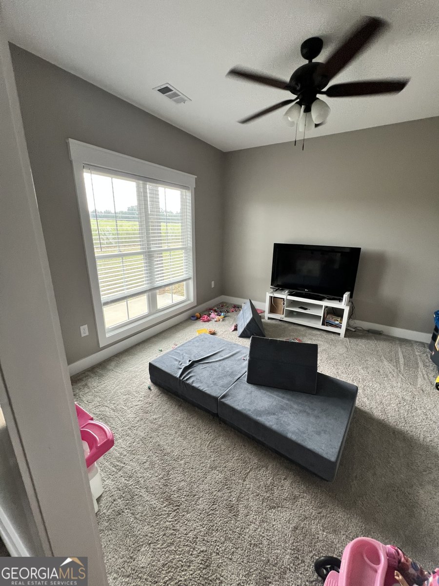 2203 Old Macon Road Montrose - 42