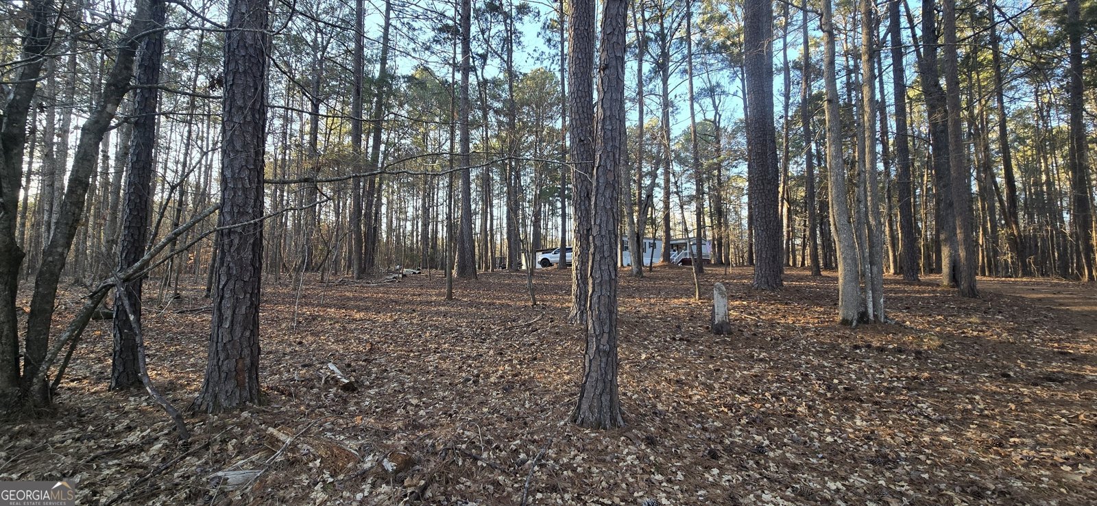 133 Angeline Circle Eatonton - 5