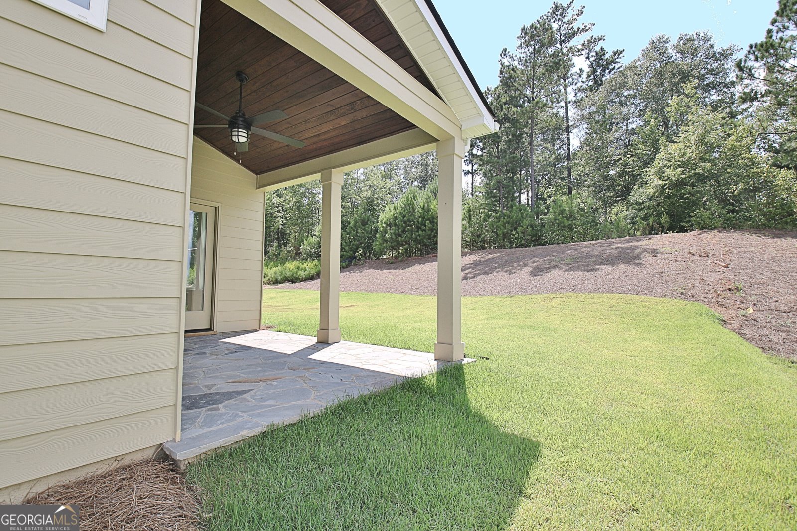 470 Werner Way Senoia - 16