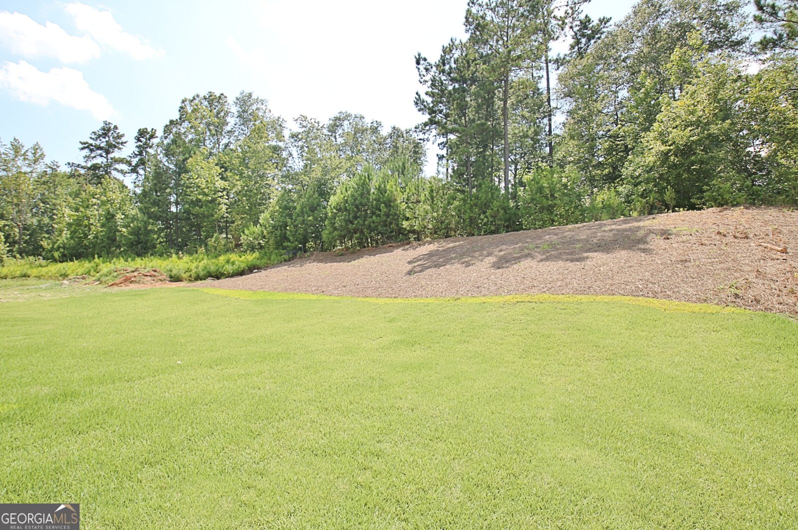470 Werner Way Senoia - 18