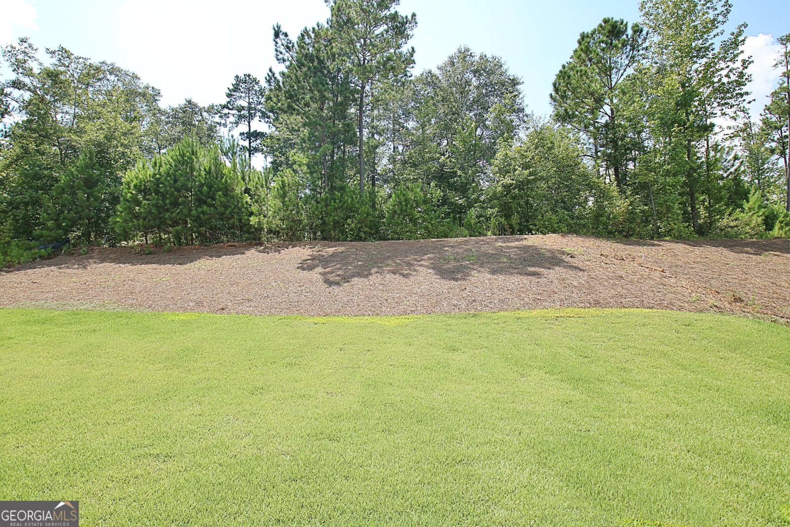 470 Werner Way Senoia - 21
