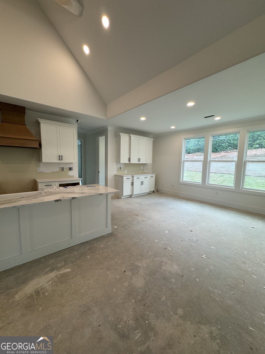 470 Werner Way Senoia - 4