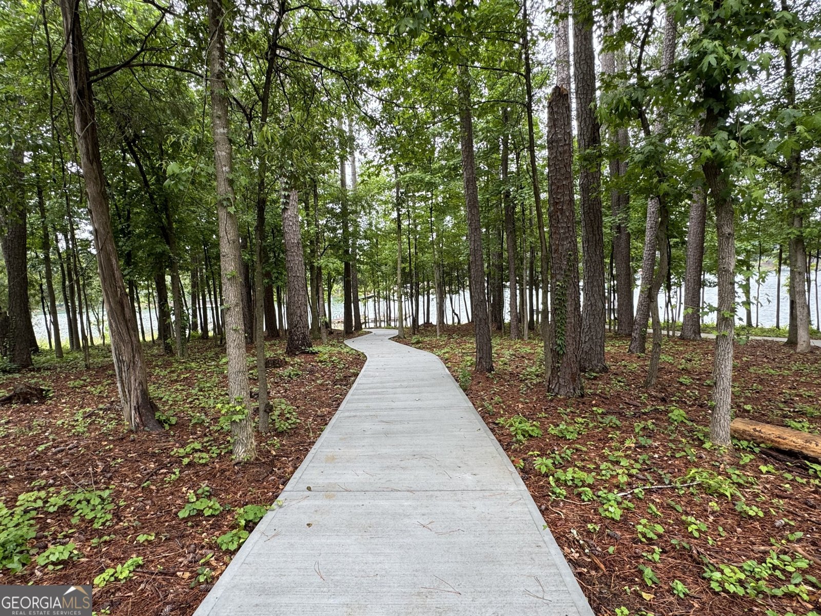 71 Woodlake Crt Hartwell - 4