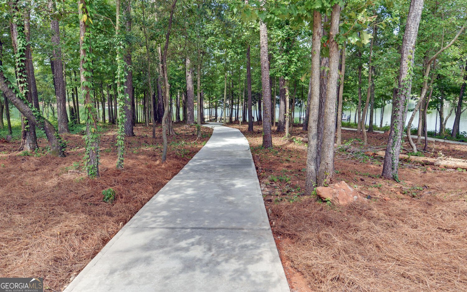 73 Woodlake Crt Hartwell - 46