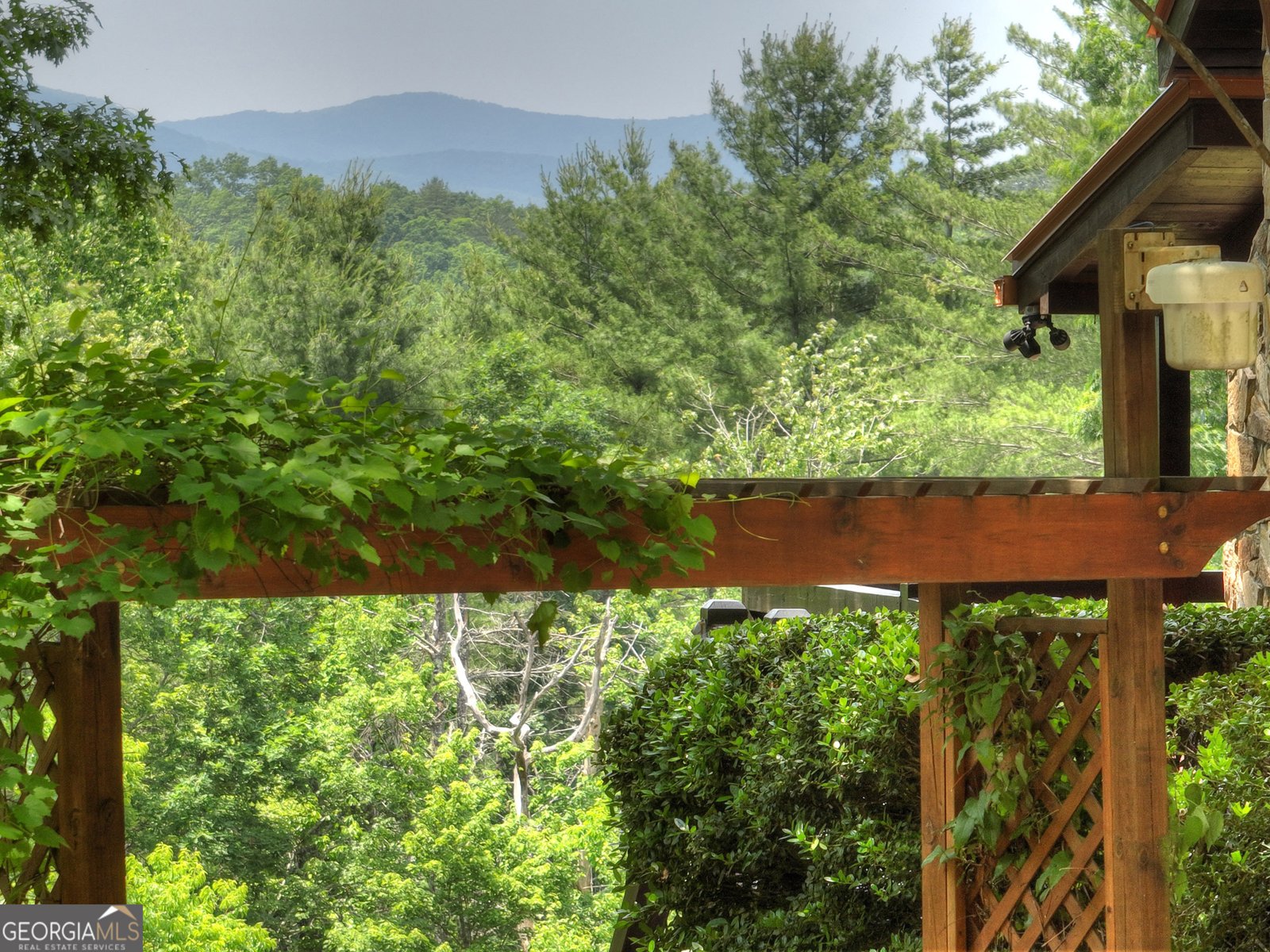 212 Dogpatch Lane Blue Ridge - 19