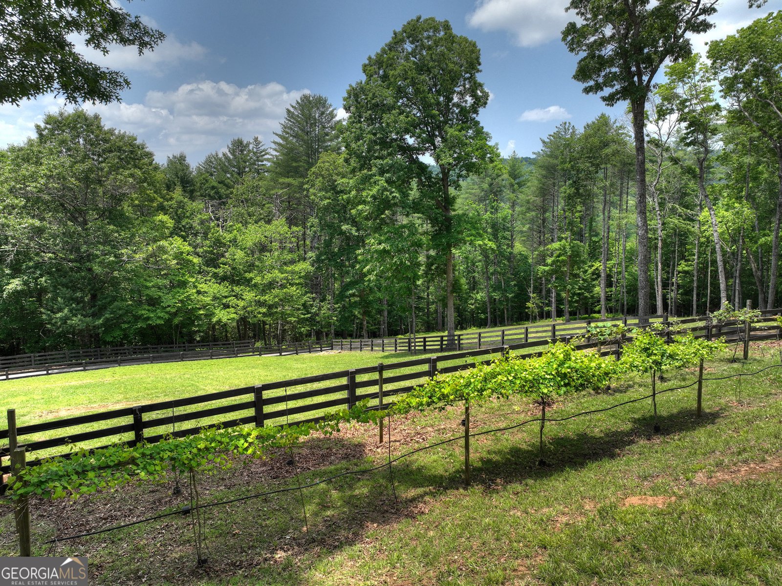 212 Dogpatch Lane Blue Ridge - 4