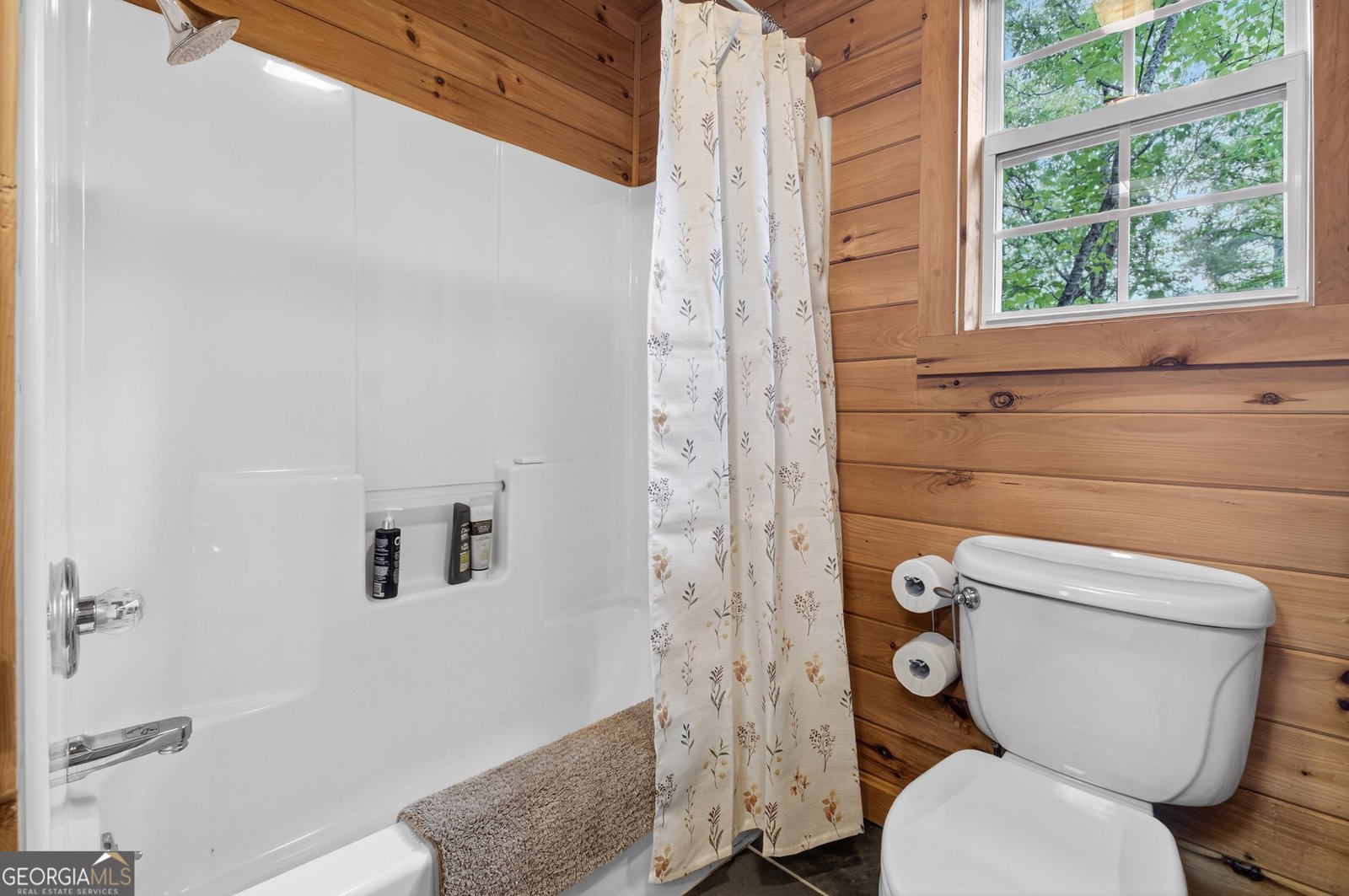 212 Dogpatch Lane Blue Ridge - 48
