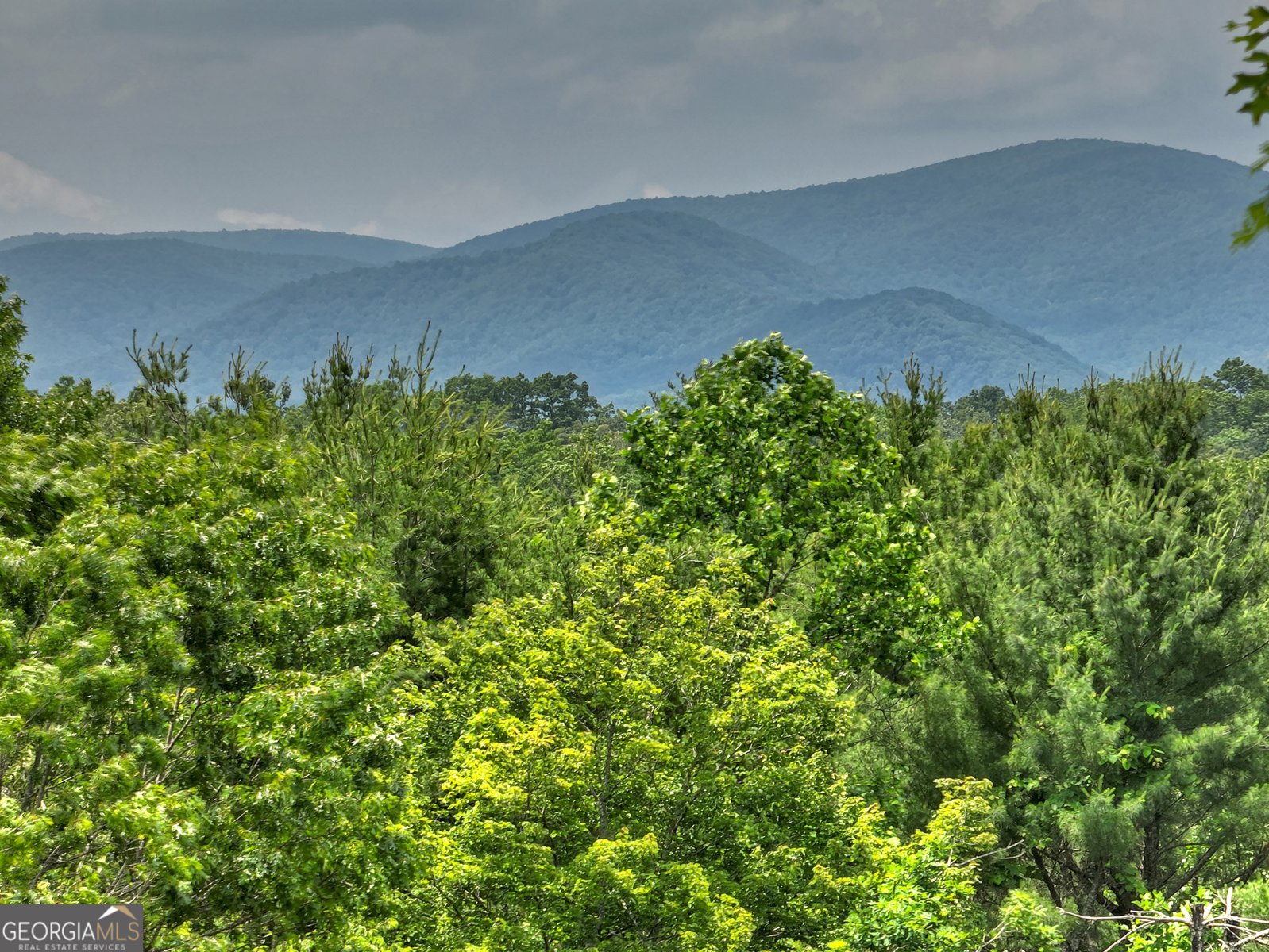 212 Dogpatch Lane Blue Ridge - 5