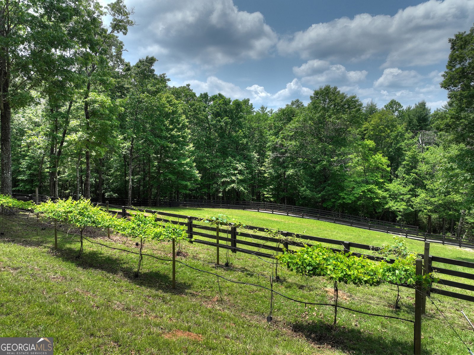 212 Dogpatch Lane Blue Ridge - 58