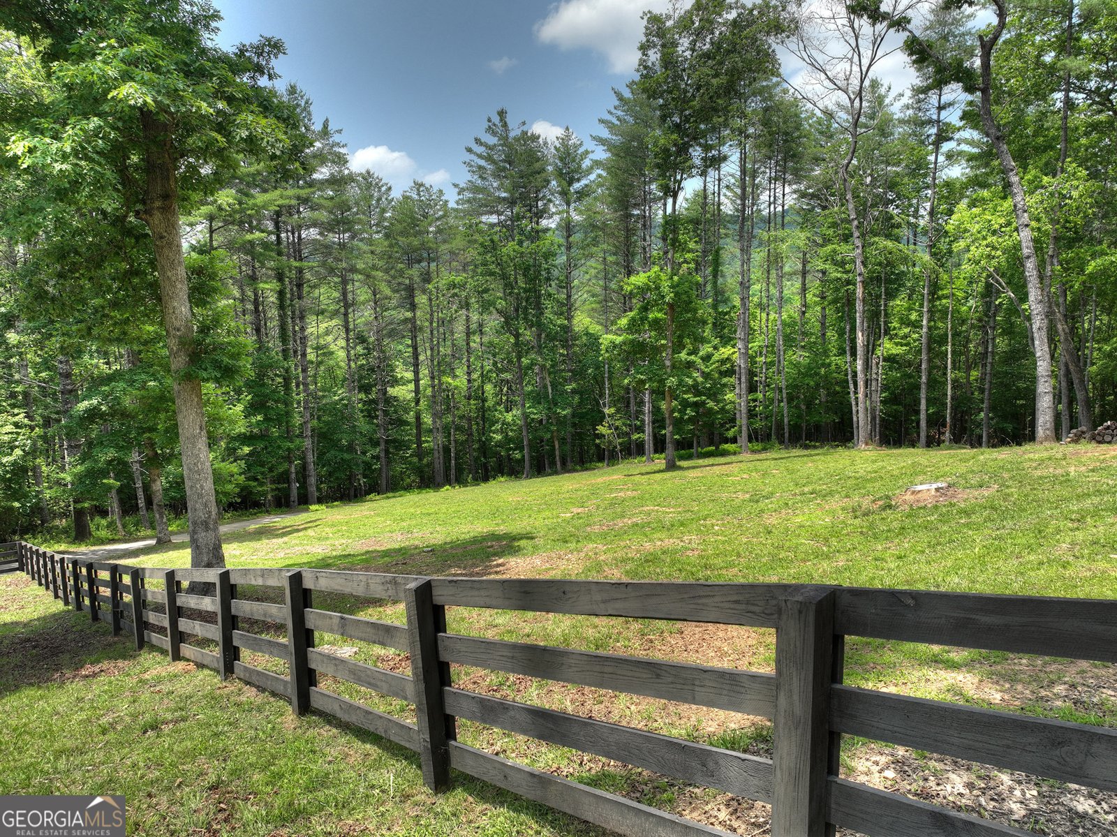 212 Dogpatch Lane Blue Ridge - 61