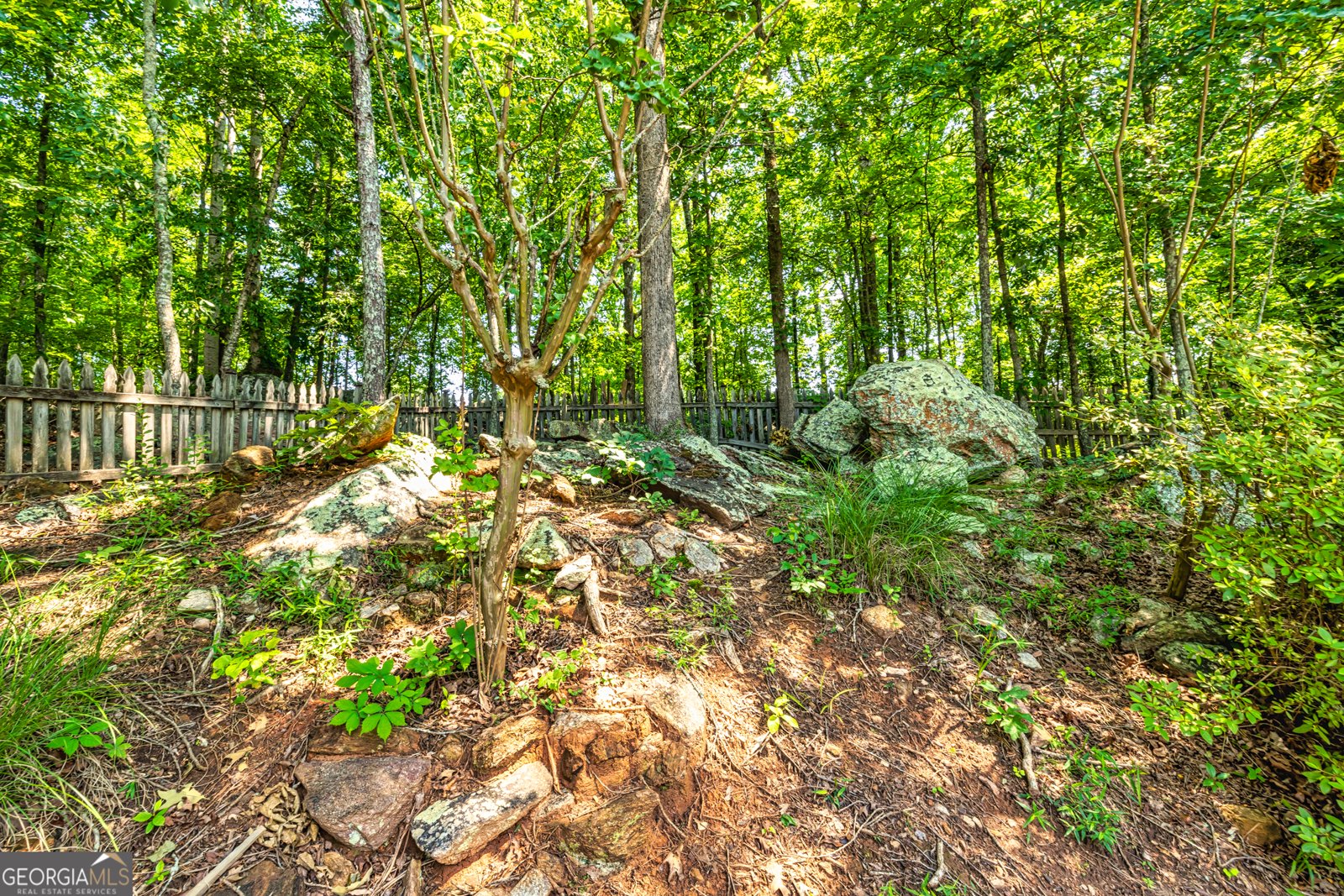 306 Sandalin Lane Peachtree City - 46