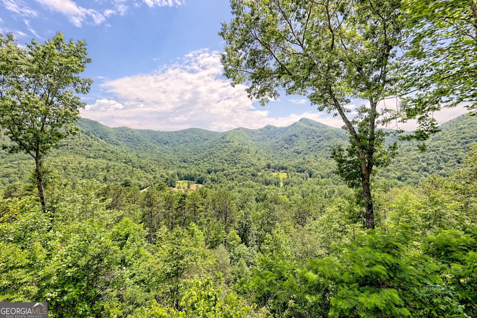 2956 Betty's Creek Road Rabun Gap - 37