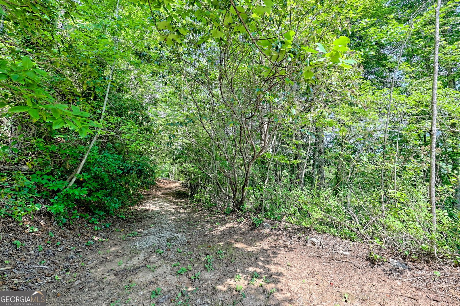2956 Betty's Creek Road Rabun Gap - 73