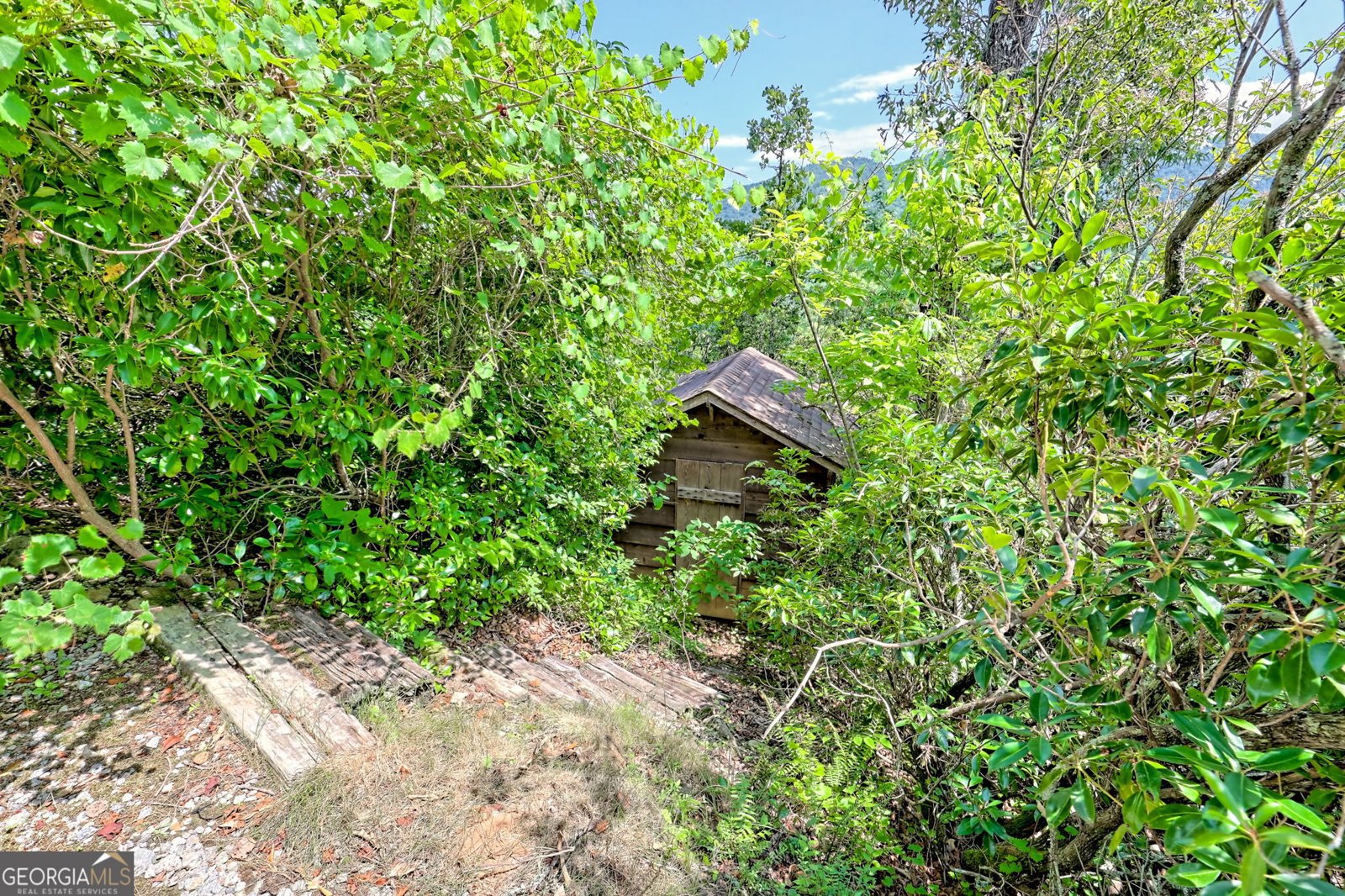 2956 Betty's Creek Road Rabun Gap - 76