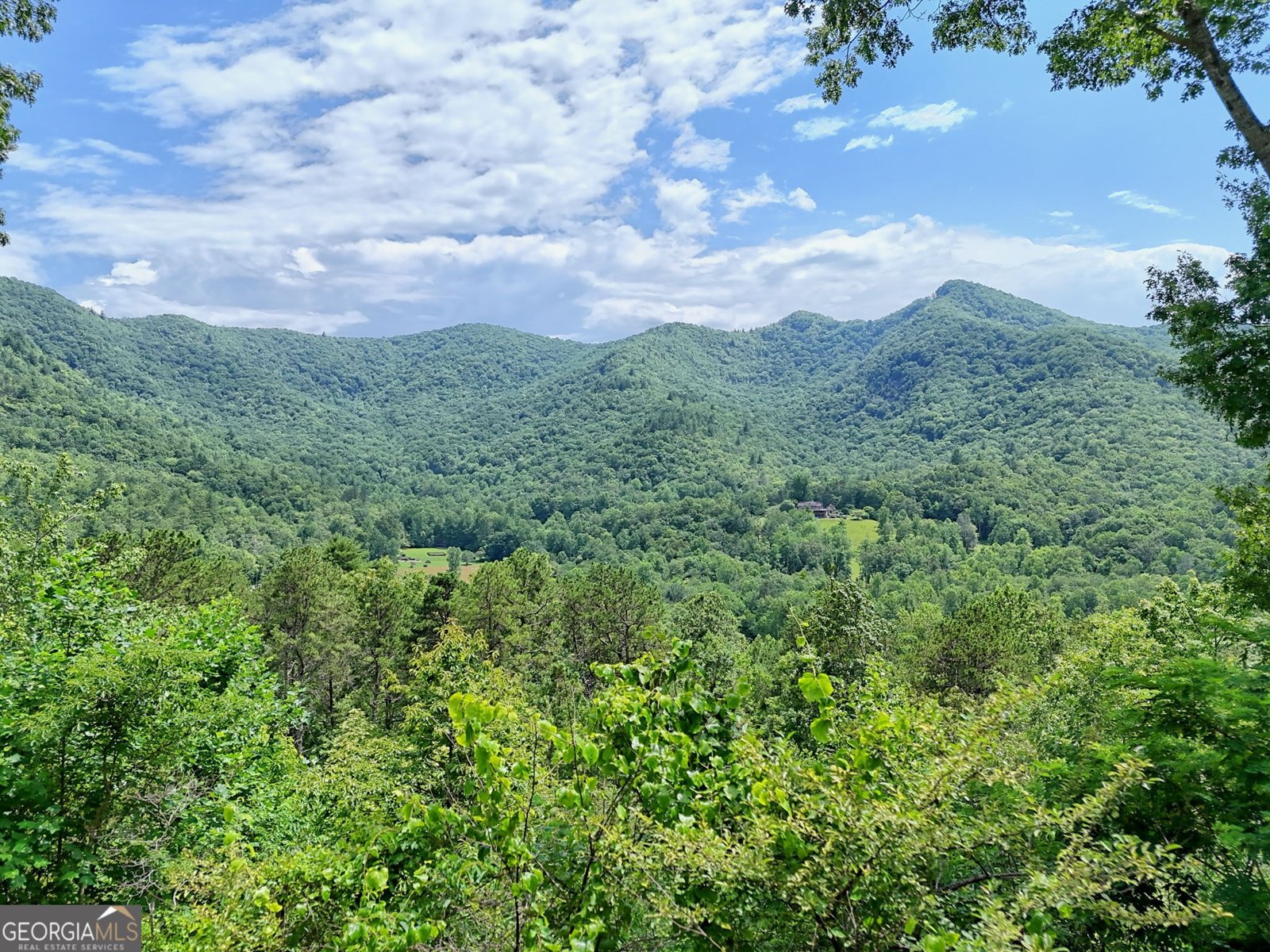 2956 Betty's Creek Road Rabun Gap - 78