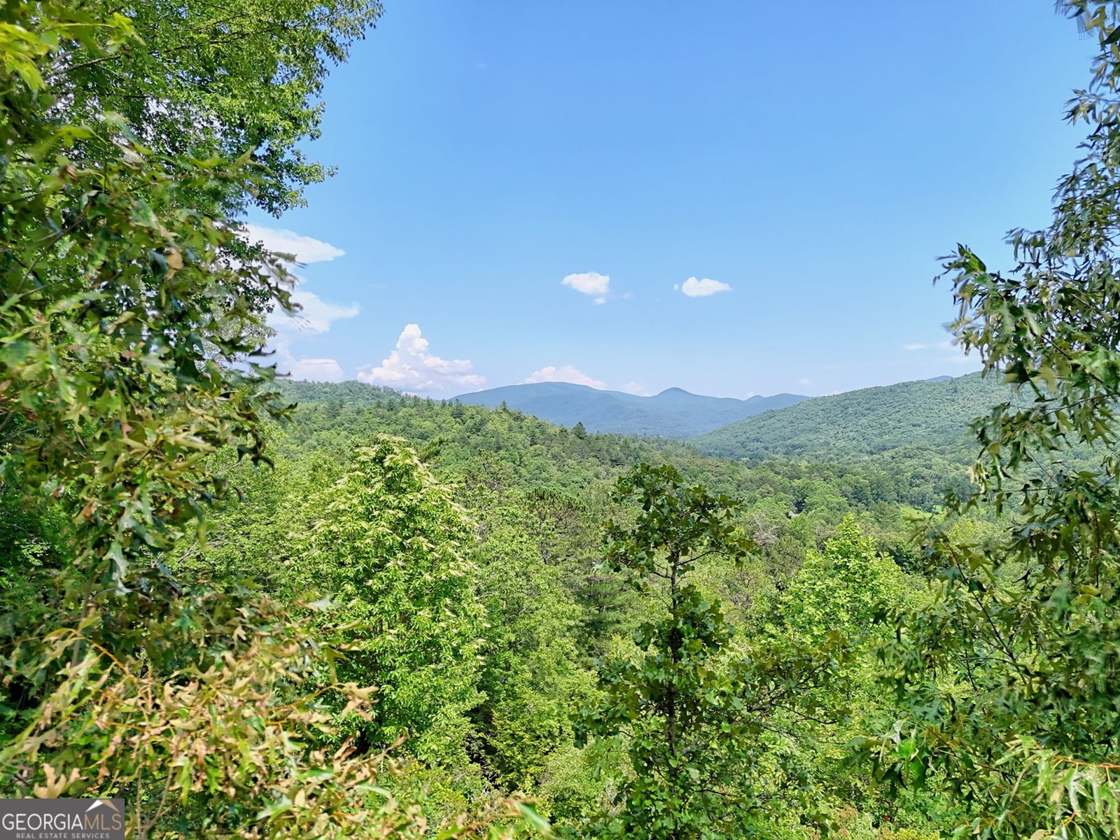 2956 Betty's Creek Road Rabun Gap - 83