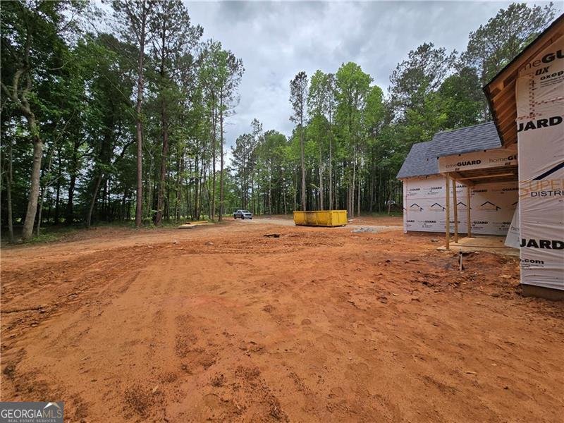 354 Spruill Bridge Road Temple - 10
