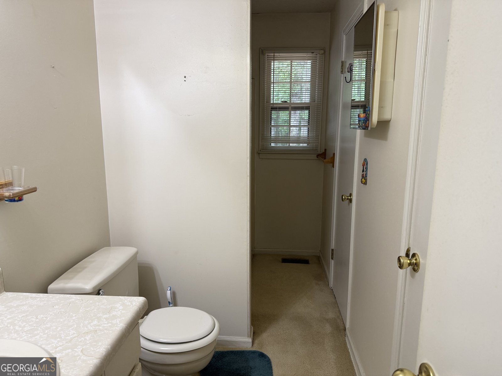 30 Robinson Drive Carrollton - 16