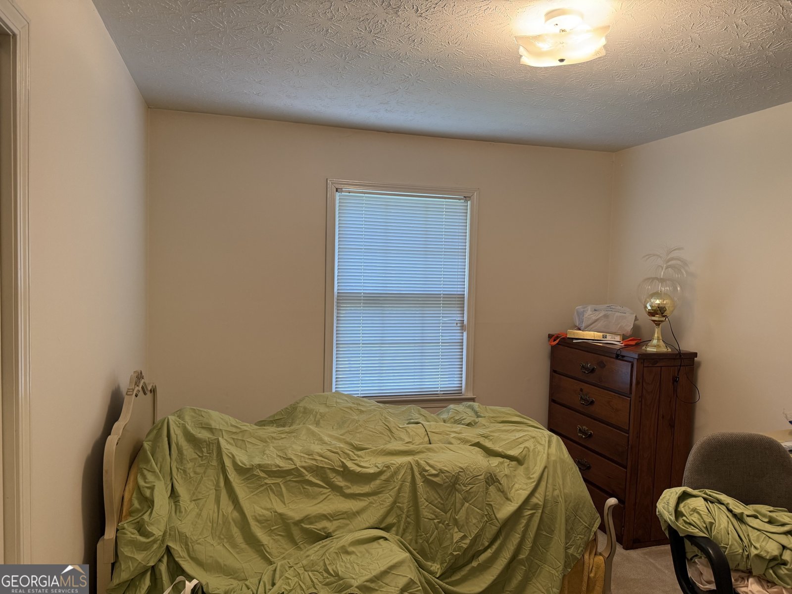 30 Robinson Drive Carrollton - 22