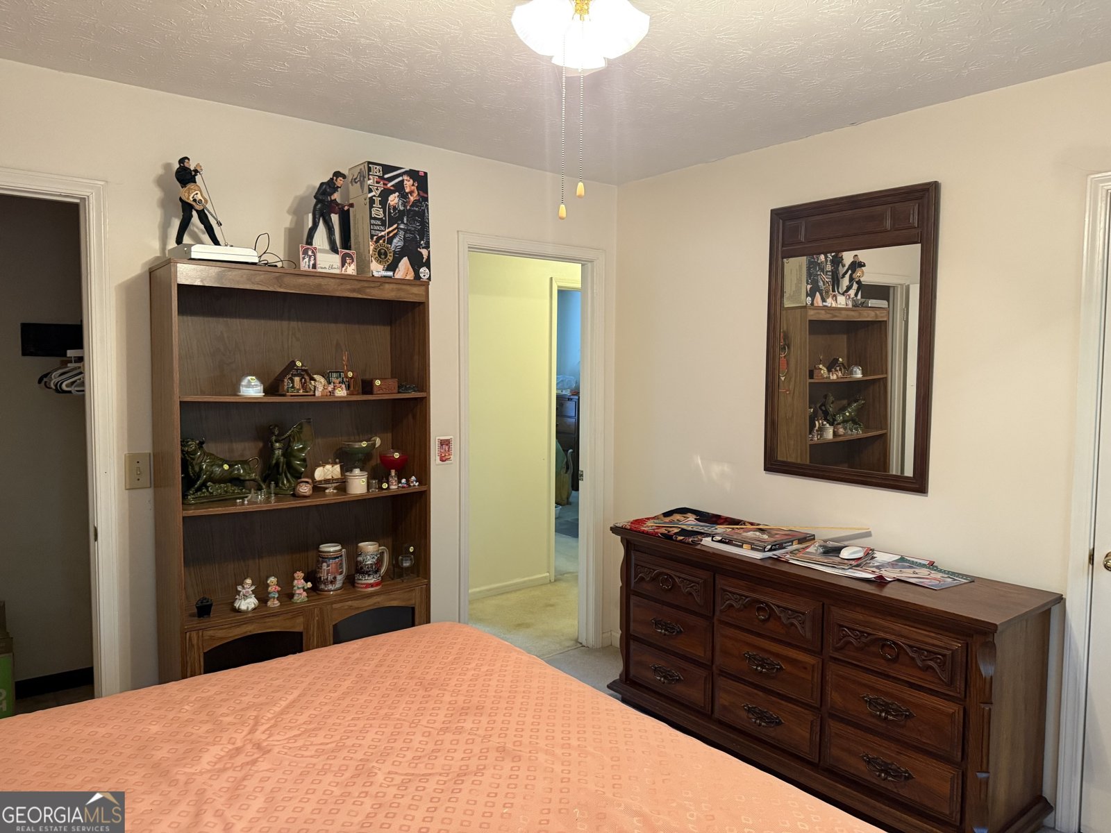 30 Robinson Drive Carrollton - 24