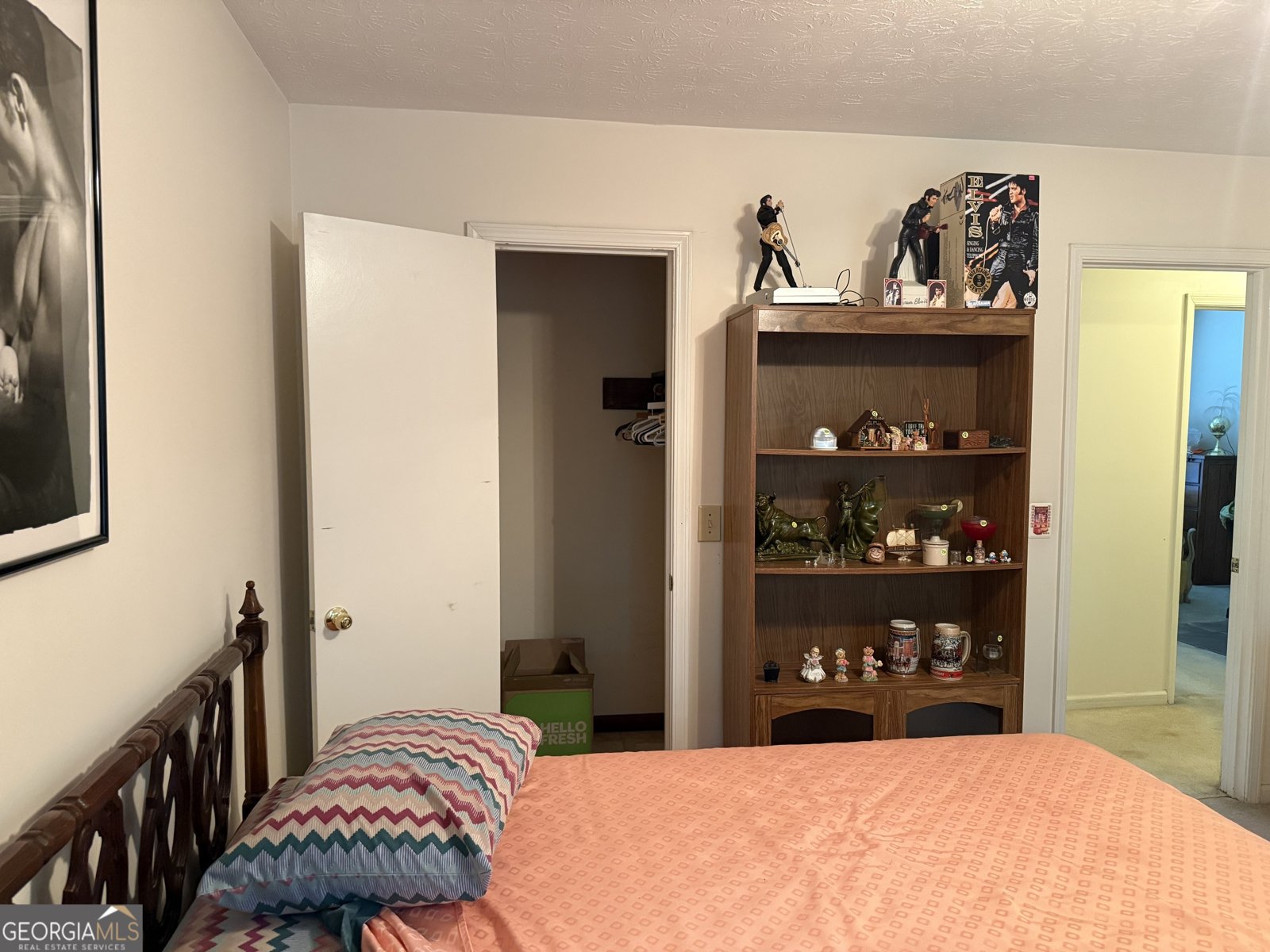 30 Robinson Drive Carrollton - 25