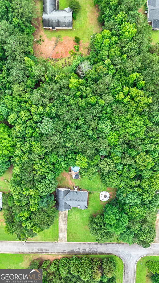 460 Old Tree Drive Jackson - 20