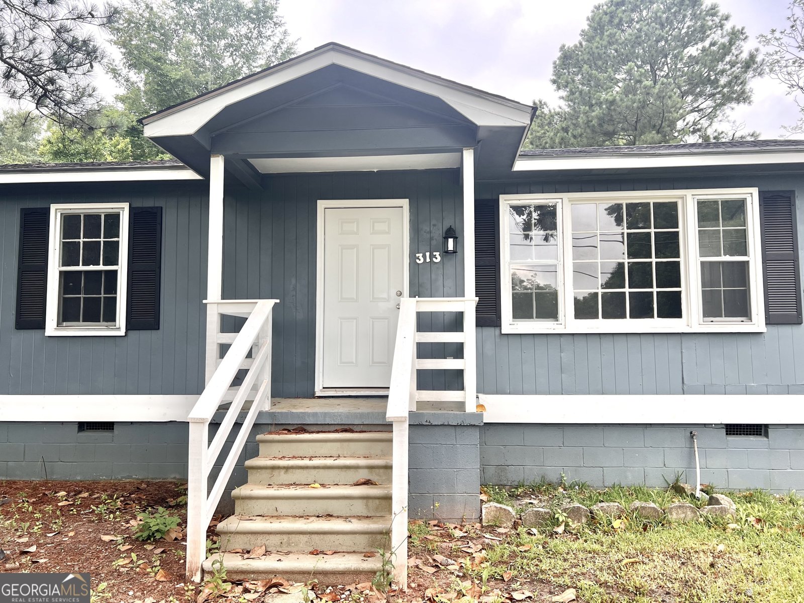 313 Vienna Fort Valley - 2