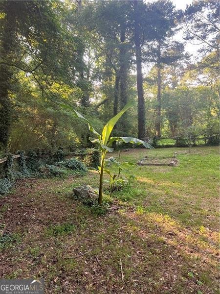 539 RUE MONTAIGNE Stone Mountain - 39