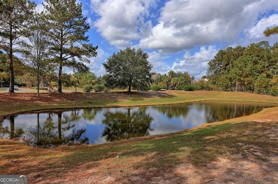 207 Pink Dogwood Lane Pooler - 56