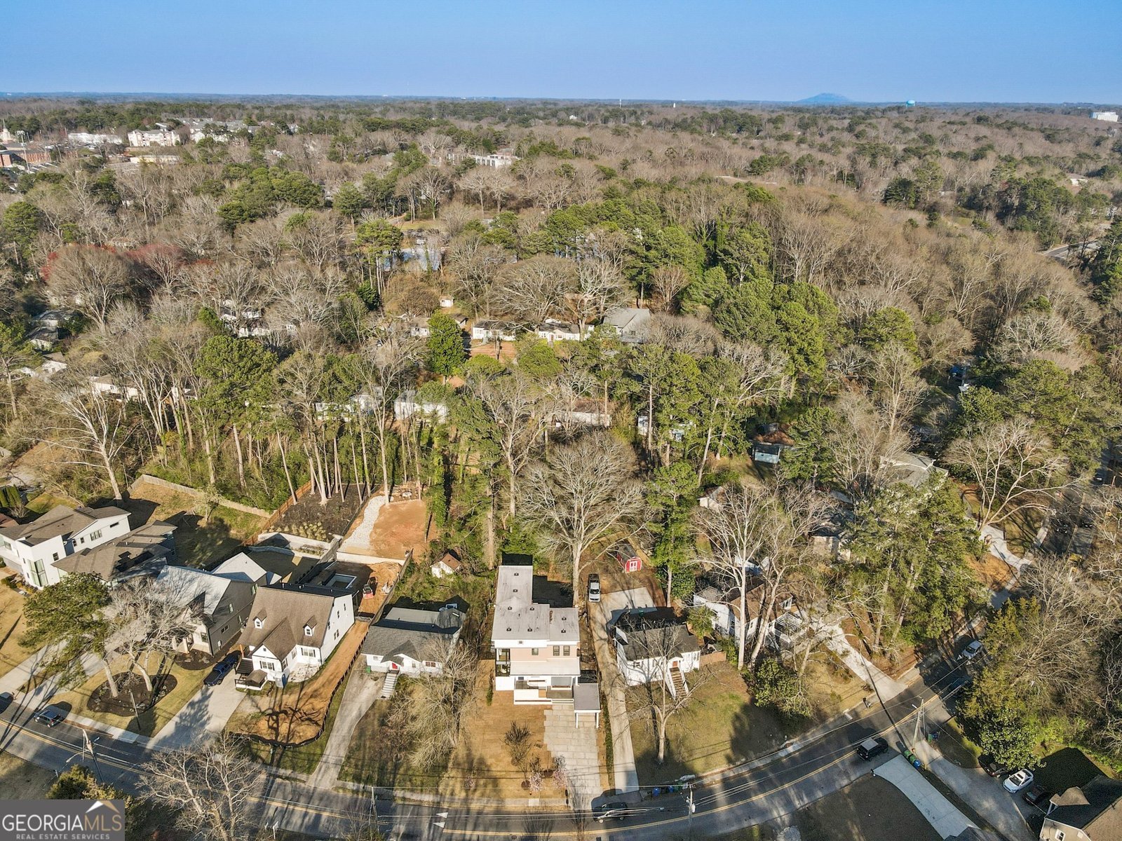 1045 Shepherds Lane Atlanta - 66