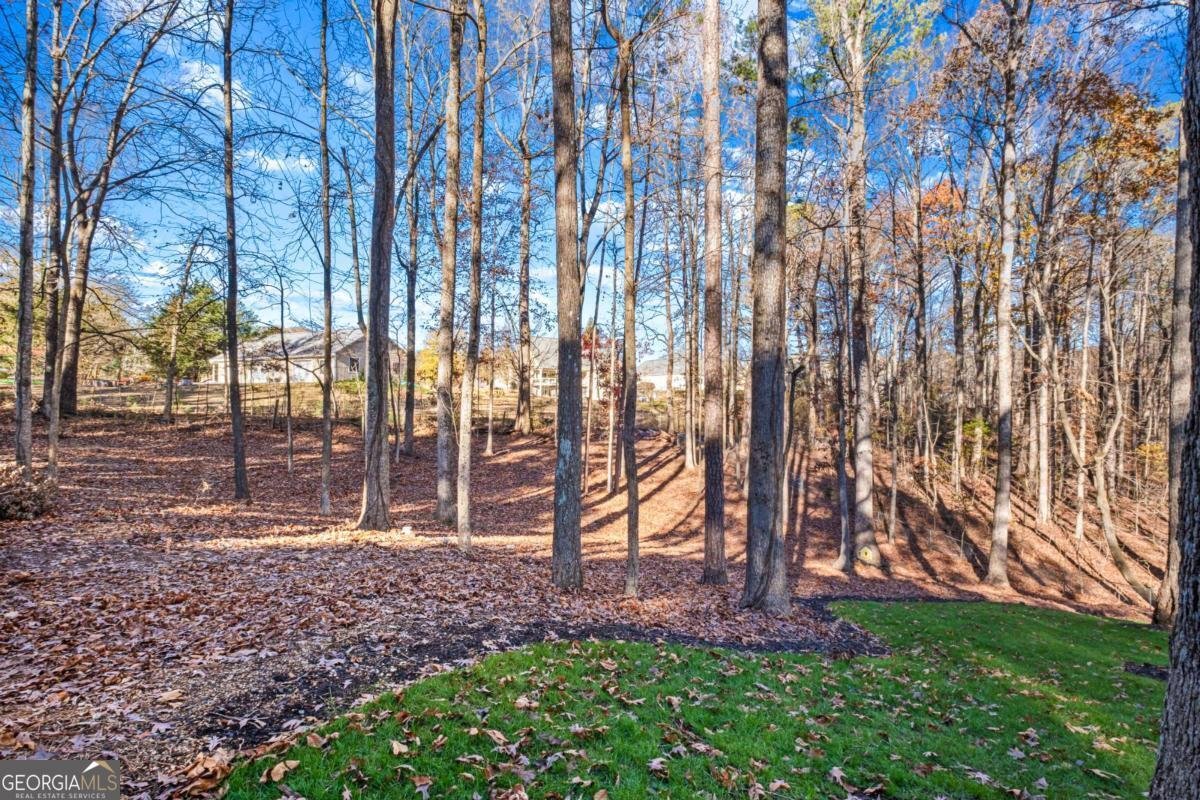 126 Laguna Springs Drive Woodstock - 7