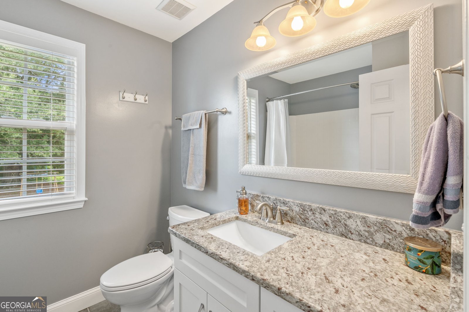 105 Pine Valley Court Hiram - 19