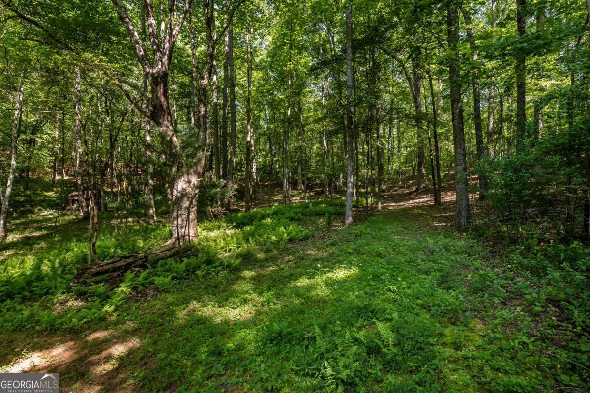 191 Barker Lane Morganton - 29